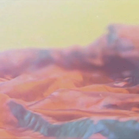 Photos of cabbage and plastic bags used to create fantastical alien landscapes in TSVI music video