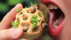 Edible Growth 3D-printed food by Chloé Rutzerveld