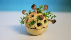 Edible Growth 3D-printed food by Chloé Rutzerveld