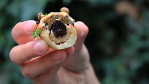 Edible Growth 3D-printed food by Chloé Rutzerveld