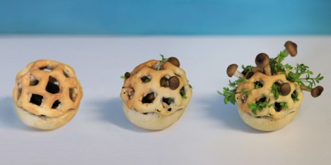Edible Growth 3D-printed food by Chloé Rutzerveld