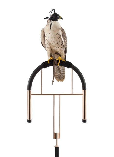Falconry perches by Posa