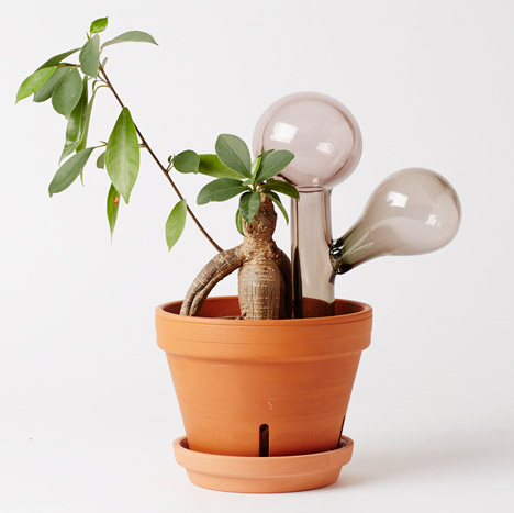 Indoor Gardening Project by Anderssen & Voll for Mjölk