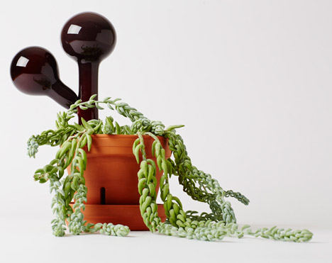 Indoor Gardening Project by Anderssen & Voll for Mjölk