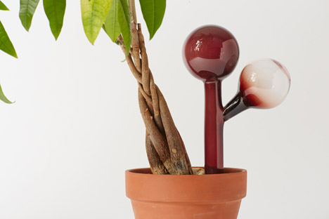 Indoor Gardening Project by Anderssen & Voll for Mjölk
