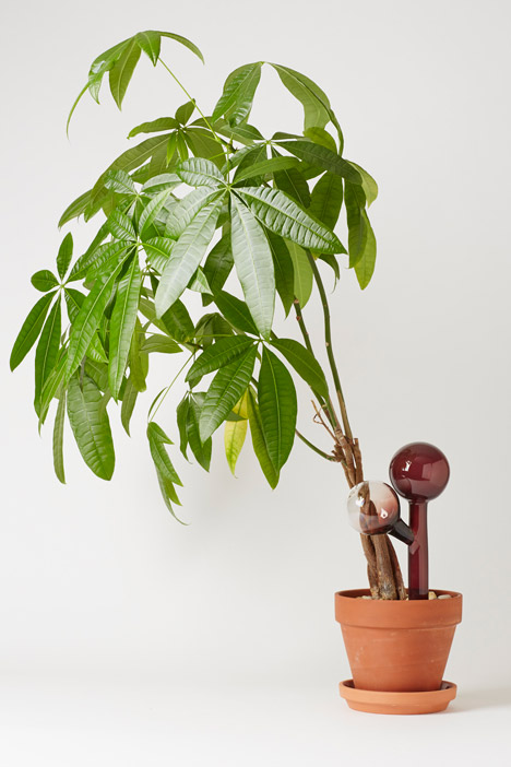 Indoor Gardening Project by Anderssen & Voll for Mjölk