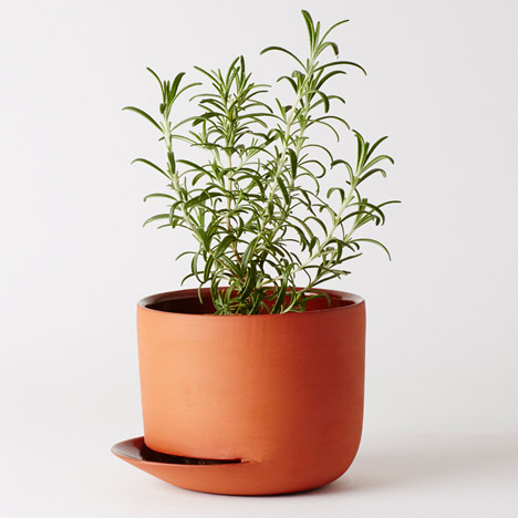 Indoor Gardening Project by Anderssen & Voll for Mjölk