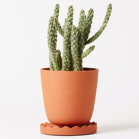Indoor Gardening Project by Anderssen & Voll for Mjölk