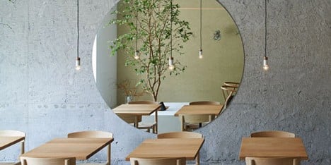 A small tree grows inside Ito-biyori cafe by Ninkipen!