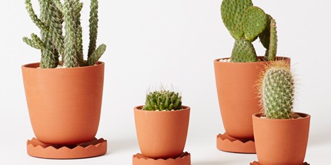 Anderssen & Voll creates a collection of tools for indoor gardening