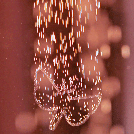 Mischer'Traxler's champagne flute for Perrier-Jouët's Blasson Rosé
