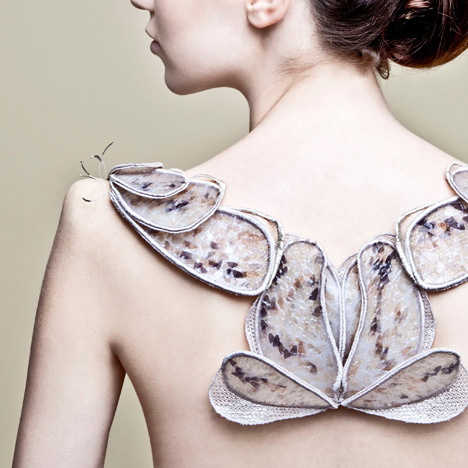 Biological Atelier by Amy Congdon
