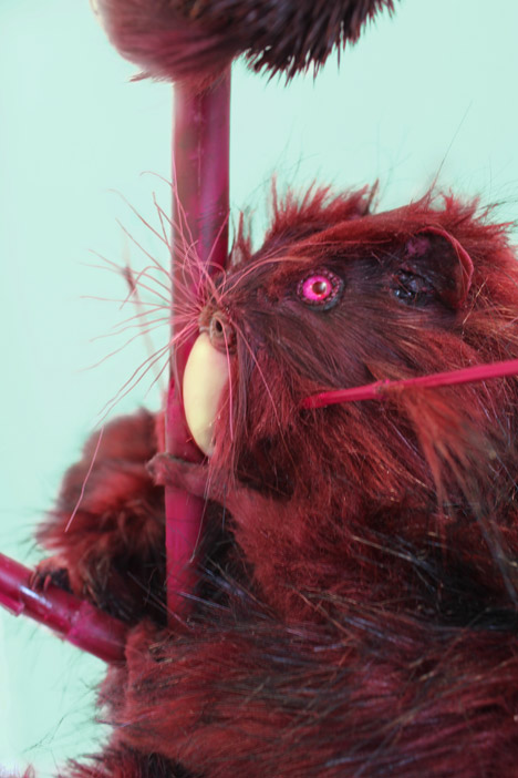 Endless Forms Ensless Species by Kathryn Fleming