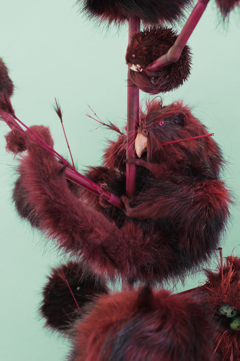 Endless Forms Ensless Species by Kathryn Fleming