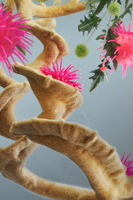 Endless Forms Ensless Species by Kathryn Fleming