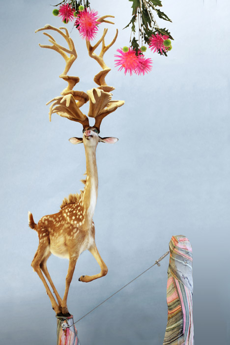Endless Forms Ensless Species by Kathryn Fleming