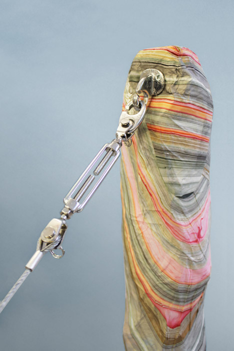 Endless Forms Ensless Species by Kathryn Fleming