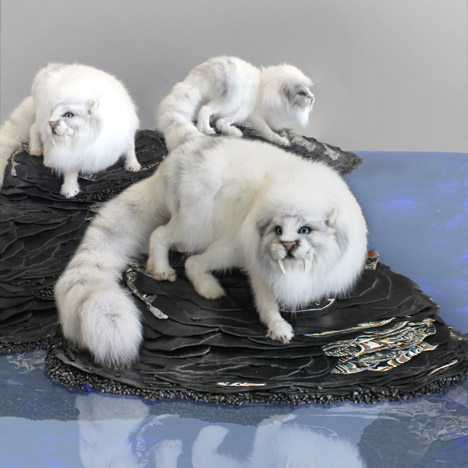 Endless Forms Ensless Species by Kathryn Fleming