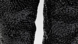 From Insects by Marlène Huissoud