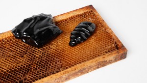 From Insects by Marlène Huissoud