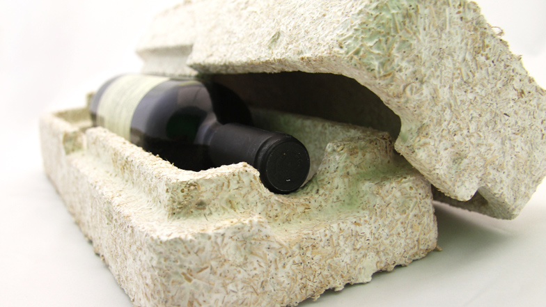 Mushroom-based modelling kit allows users to grow their own designs