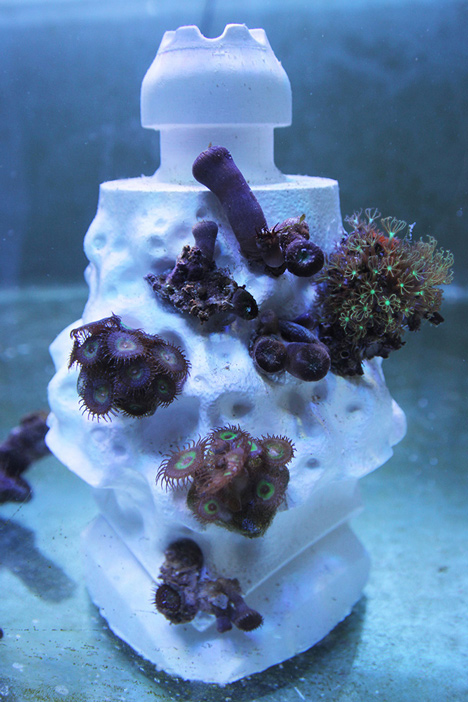 MARS Modular Artificial Reef Structure by Alex Goad
