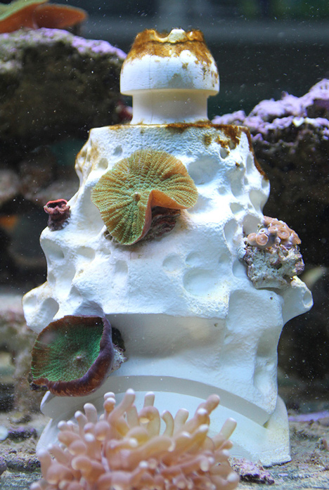 MARS Modular Artificial Reef Structure by Alex Goad