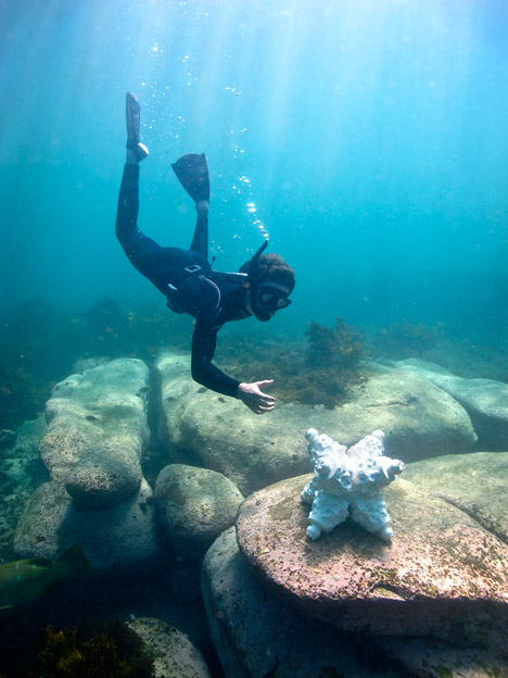 MARS Modular Artificial Reef Structure by Alex Goad