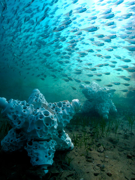 MARS Modular Artificial Reef Structure by Alex Goad