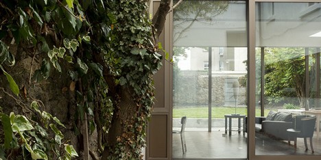 Glazed house extension by GKMP Architects “feels like part of the garden”