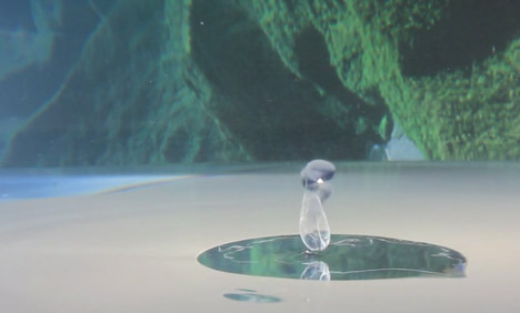 Waterballet - Shortcutz music video shot in a fishbowl