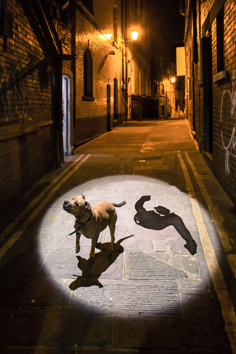 Shadowing by Jonathan Chomko and Matthew Rosier