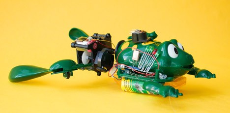 Anura-43