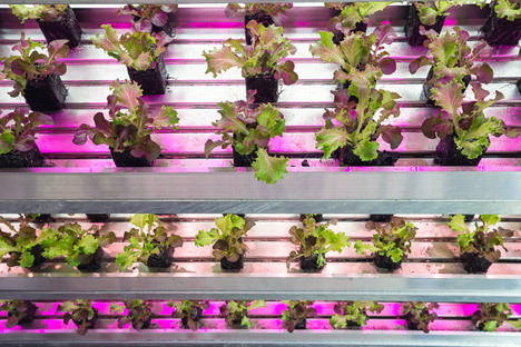 Future Food District at Milan Expo 2015 by MIT and Carlo Ratti