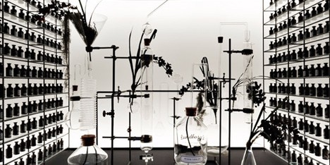 Designers smell opportunities as they explore the “vivid” world of scent