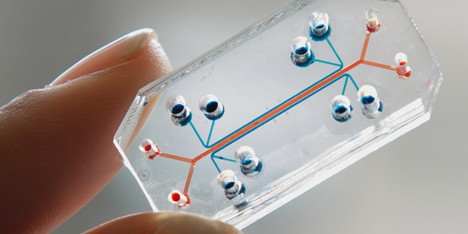 Organs-on-Chips by the Wyss Institute for Biologically Inspired Engineering