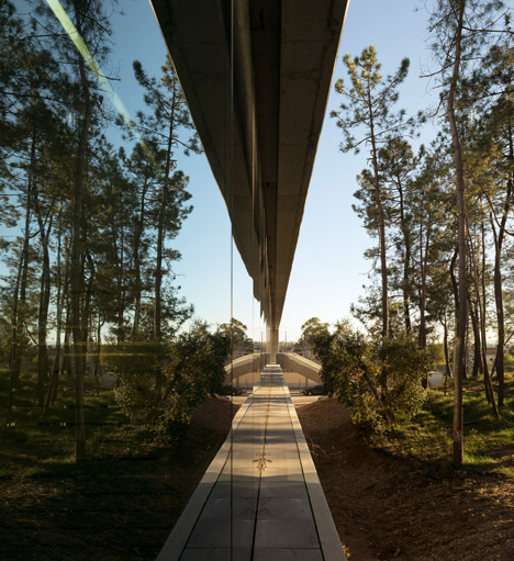 Palavras by Regino Cruz Arquitectos