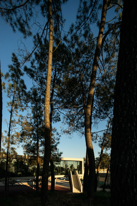 Palavras by Regino Cruz Arquitectos