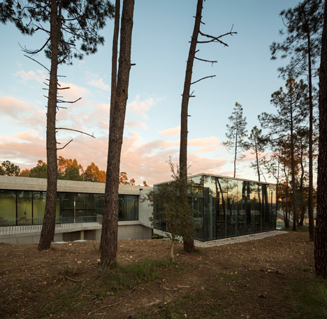 Palavras by Regino Cruz Arquitectos