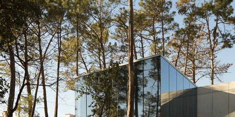 Palavras by Regino Cruz Arquitectos