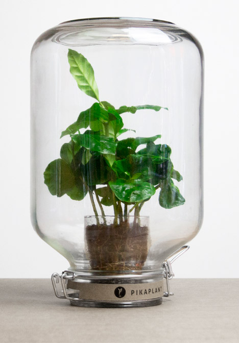Pikaplant self watering systems