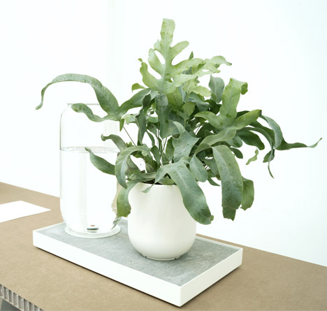 Pikaplant self watering systems