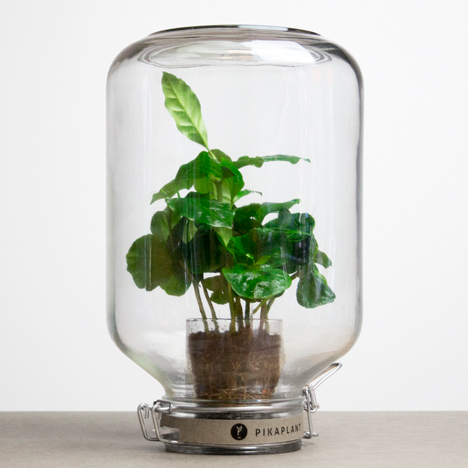 Pikaplant self watering systems
