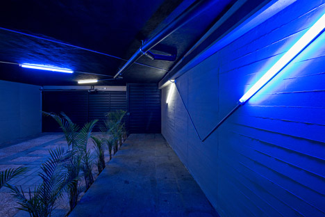 Tadeo 4909 by Proyecto Cafeína