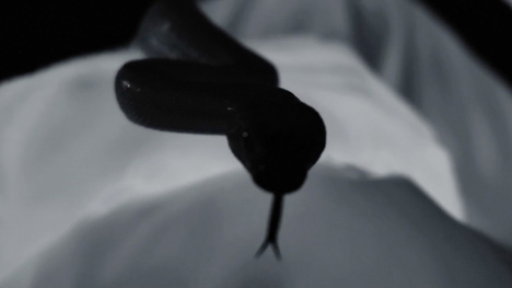 Music video for Grief by Earl Sweatshirt directed by Hiro Murai
