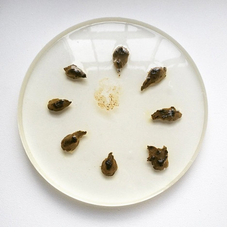 Eat Shit exhibition from Design Academy Eindhoven students at Milan 2015