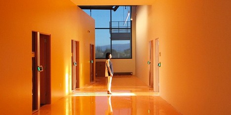 Dezeen Mail #247