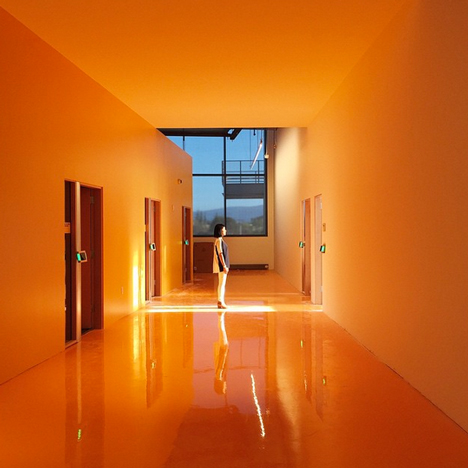 Dezeen Mail #247