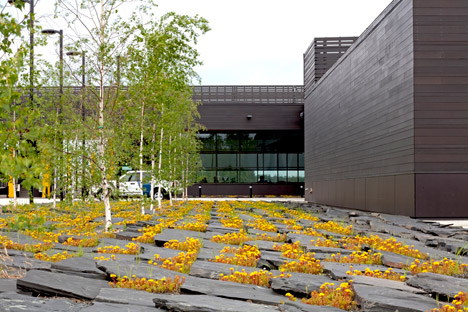 Warroad Land Port of Entry, Minnesota by Coen + Partners, 2010. Collaborators: Snow Kreilich Architects and the U.S. General Services Administration. Photograph by Paul Crosby