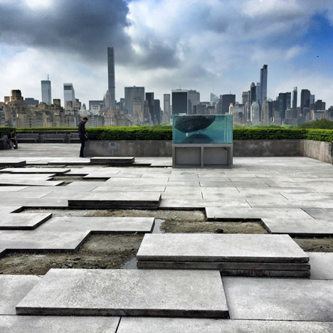 Roof Garden Installation by Pierre Huyghe at the Metropolitan Museum